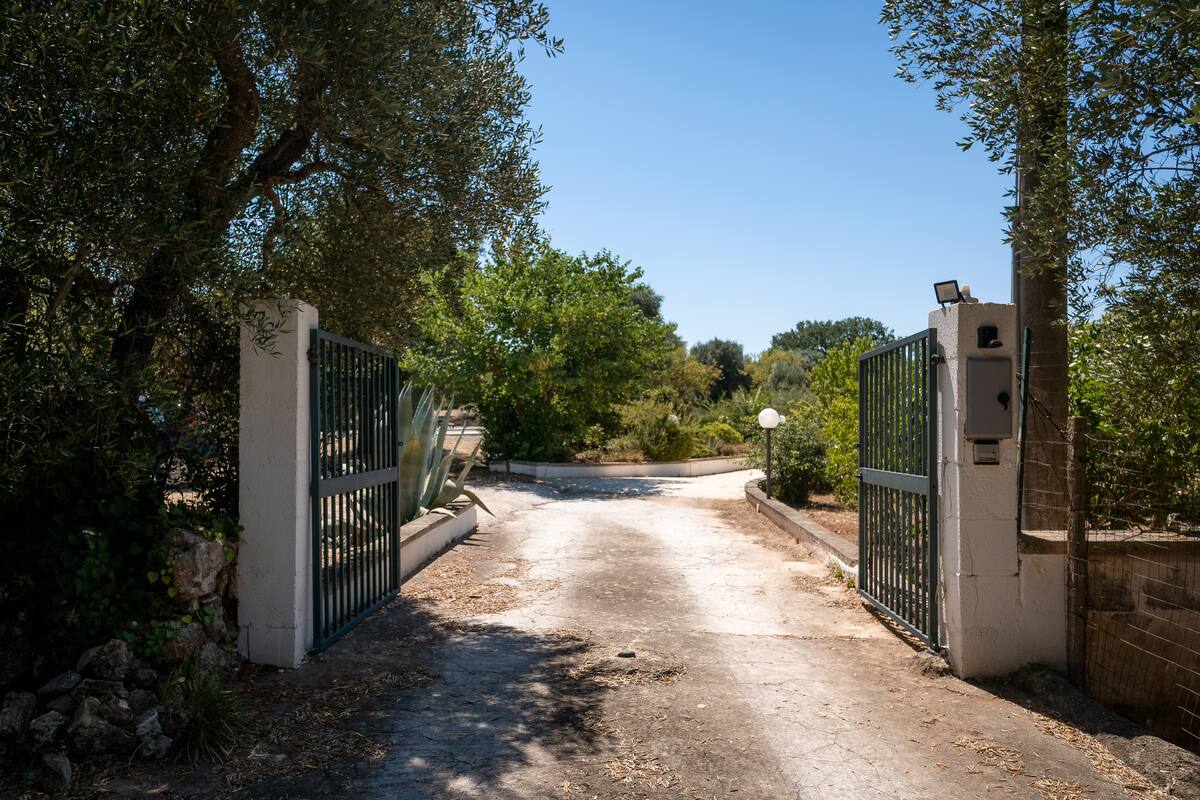 Photo de Entrée